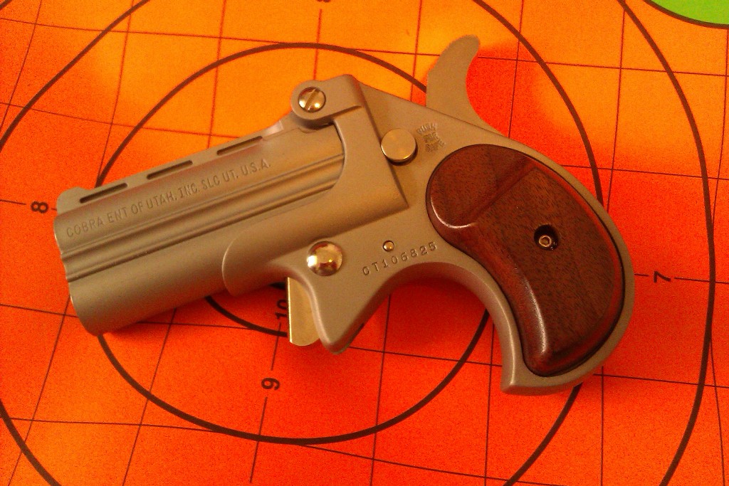 TammysDerringer(2).jpg